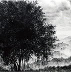 One Tree by Chong Siewying